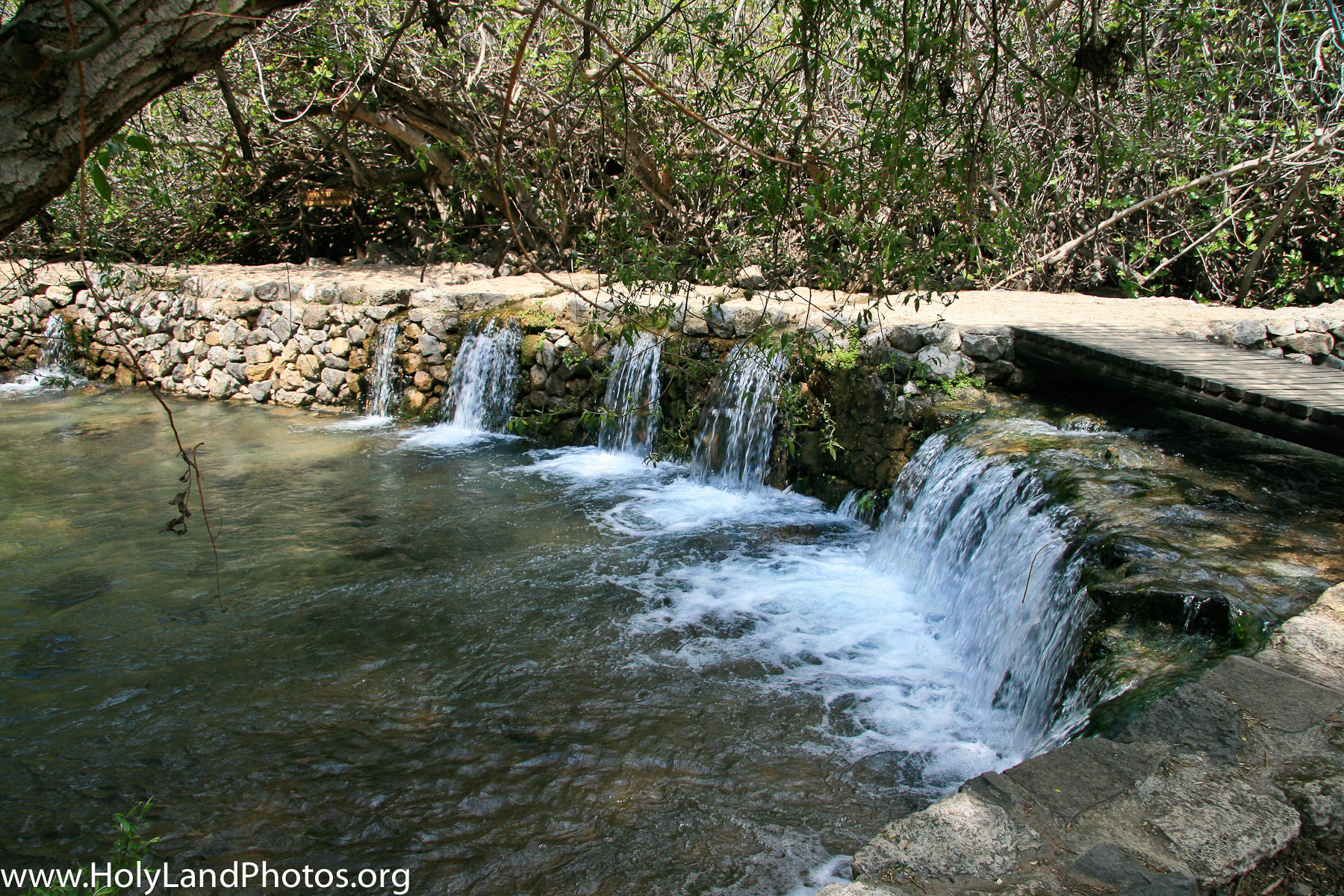 Philippi Spring Spring — Caesarea Philippi — Holy Land Photos